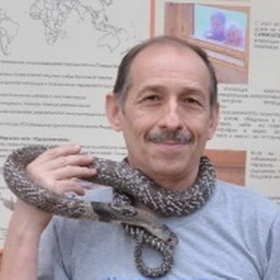 Андрей Затока